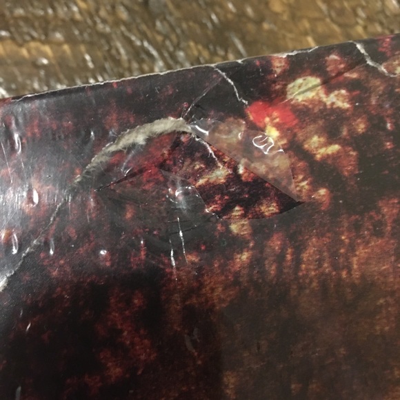 Girl With A Watering Can Pierre Auguste Renoir - Picture 5 of 6